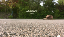 "untitled", animation, audio